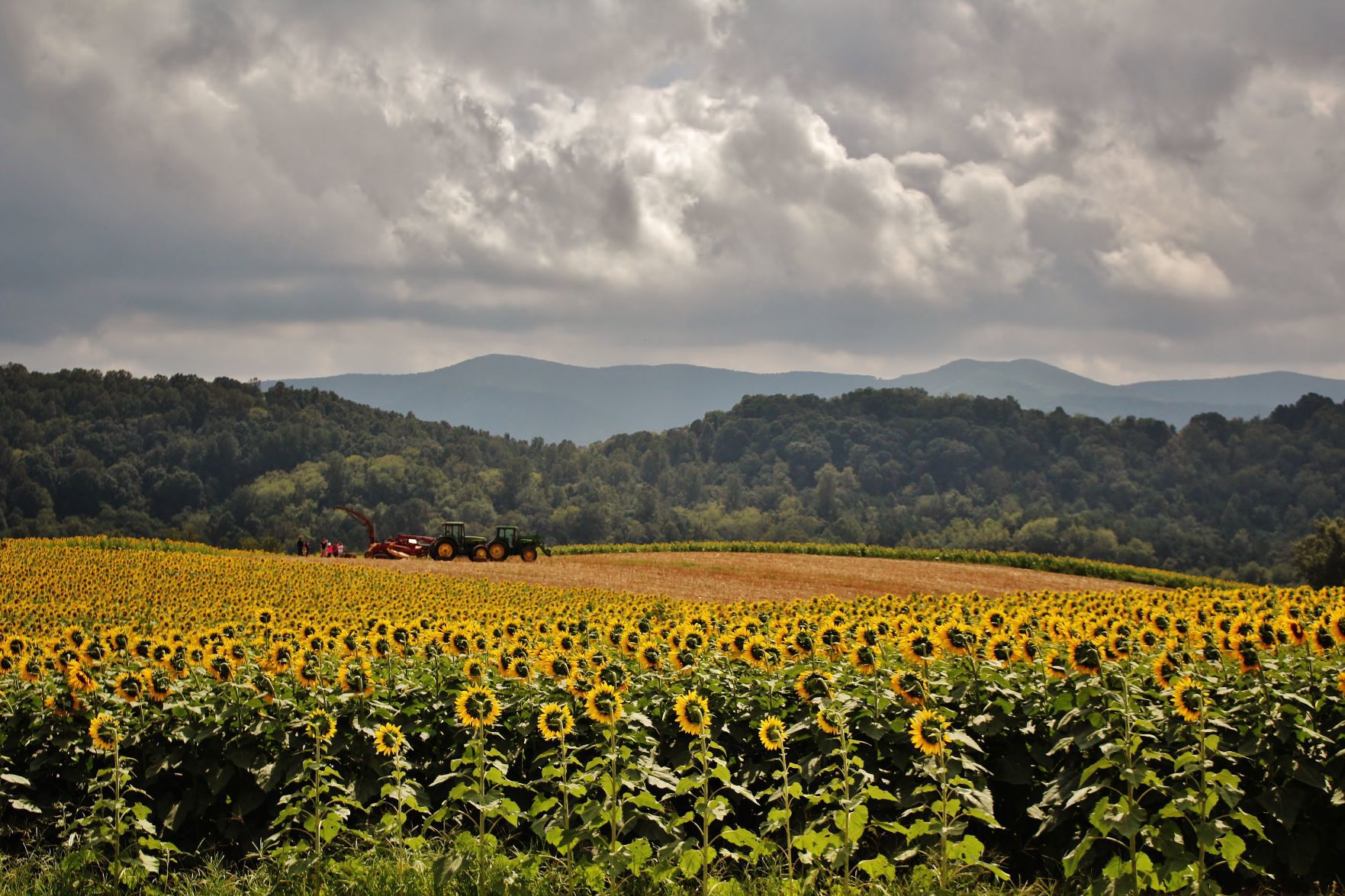 Scenic Virginia, May 26, 2018